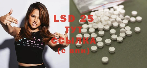 PSILOCYBIN Баксан