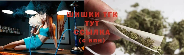 мдпв Белокуриха