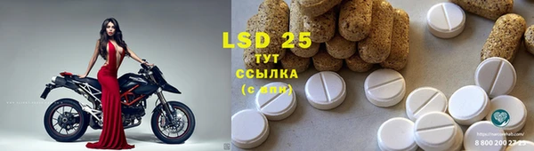 PSILOCYBIN Баксан