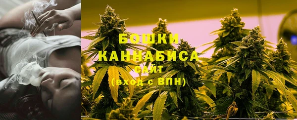 PSILOCYBIN Баксан