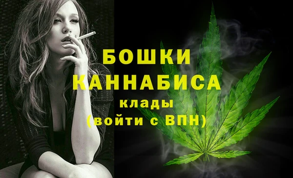 PSILOCYBIN Балахна