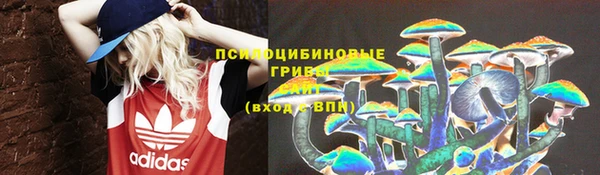 крисы Лагань