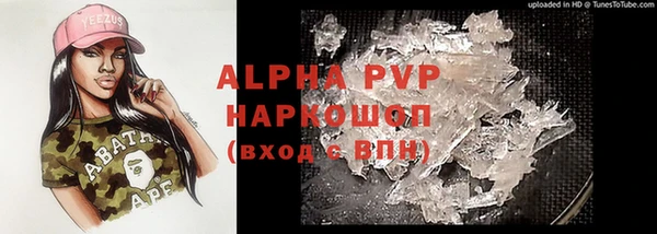 PSILOCYBIN Баксан