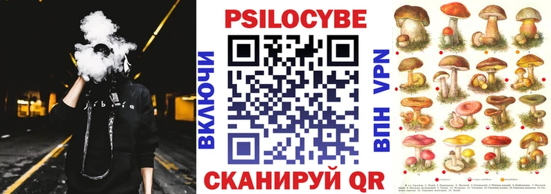 OMG   Вяземский  Галлюциногенные грибы мицелий 