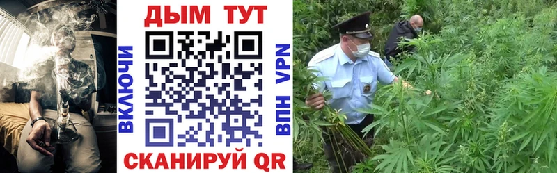 Конопля VHQ  продажа наркотиков  ссылка на мегу tor  Вяземский 